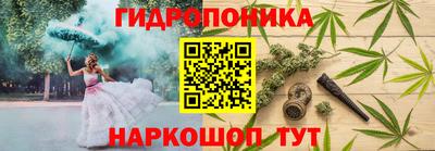 apvp Краснокаменск