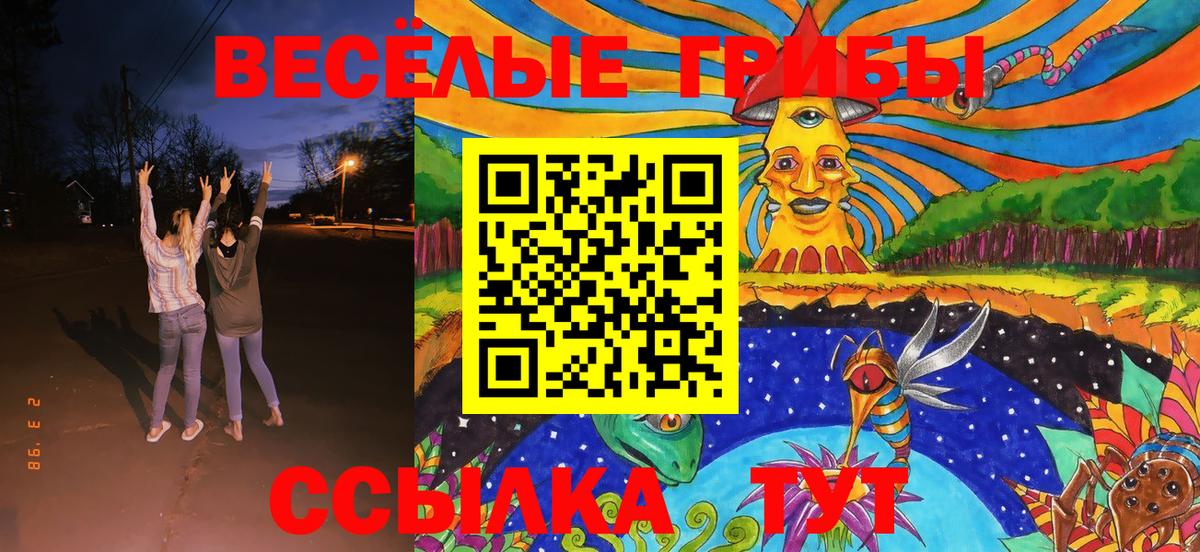 Псилоцибиновые грибы мухоморы  где найти   Вход с VPN  Кандалакша  Псилоцибиновые грибы Psilocybe 